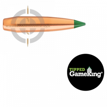 Tipped GameKing 4320 Geschoss